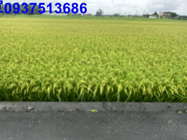 礁溪農地-5