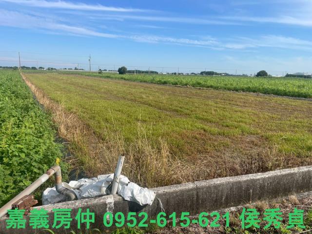 鹿草農地-1