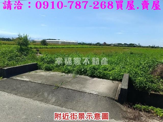 柳營農地-2