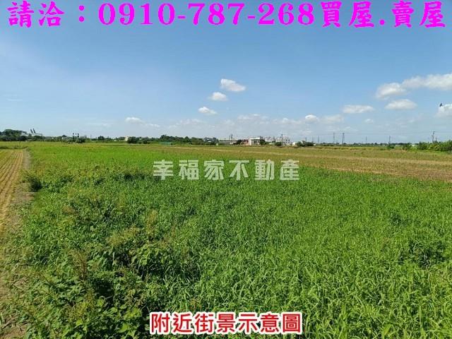 柳營農地-3