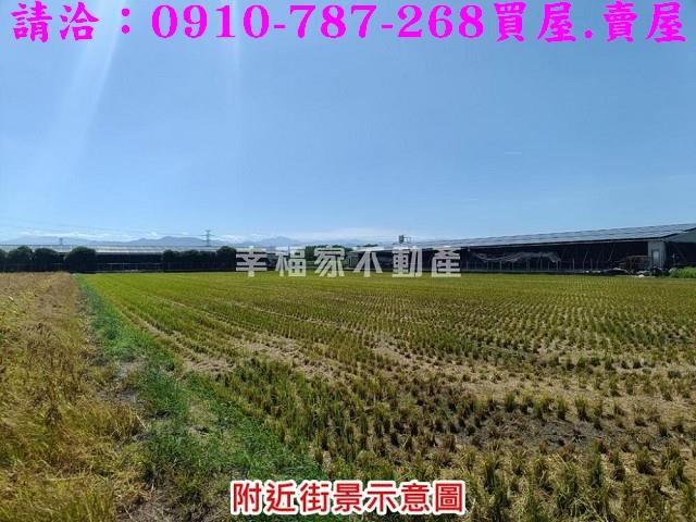 柳營農地-6