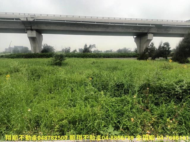 彰化芳苑農地-10