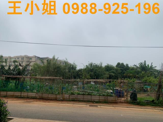 桃園桃園區農地-0