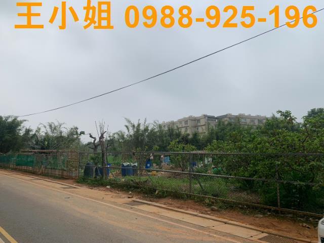 桃園桃園區農地-2