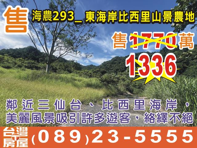台東成功農地-0