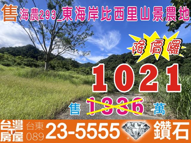 台東成功農地-0