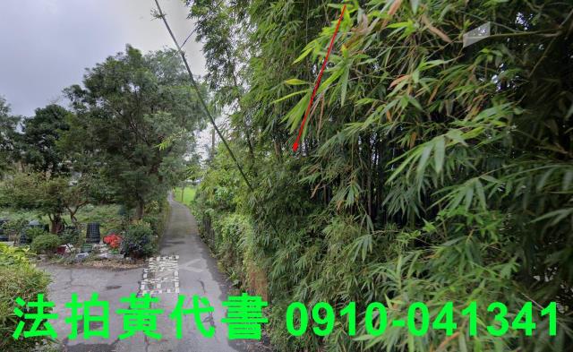 頭城法拍建地-11