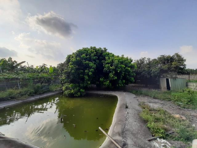 長治農地-1