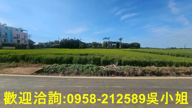 新竹新豐農地-1