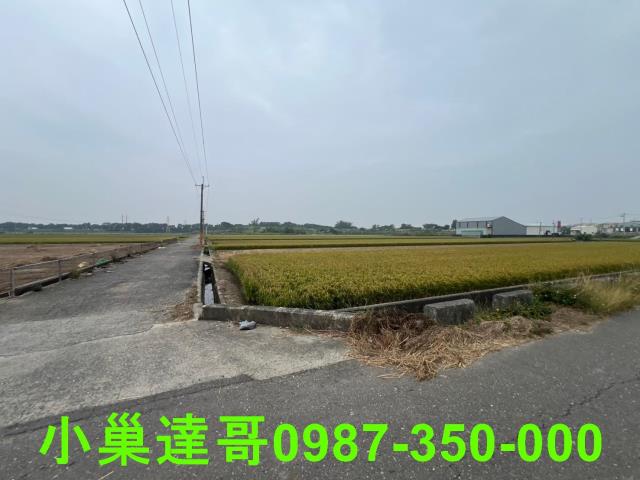 民雄農地-9