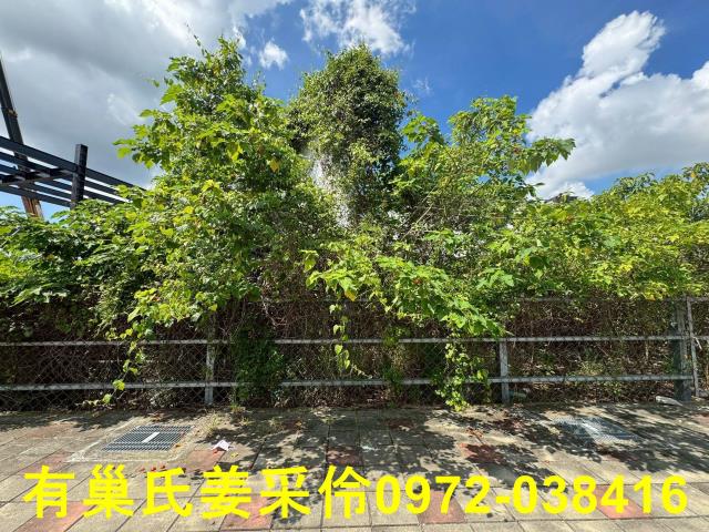 西區建地-13