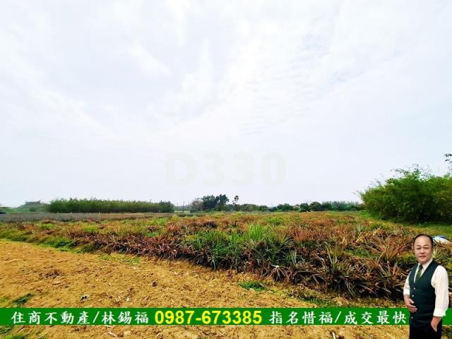 歸仁農地-4