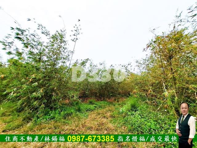 歸仁農地-7