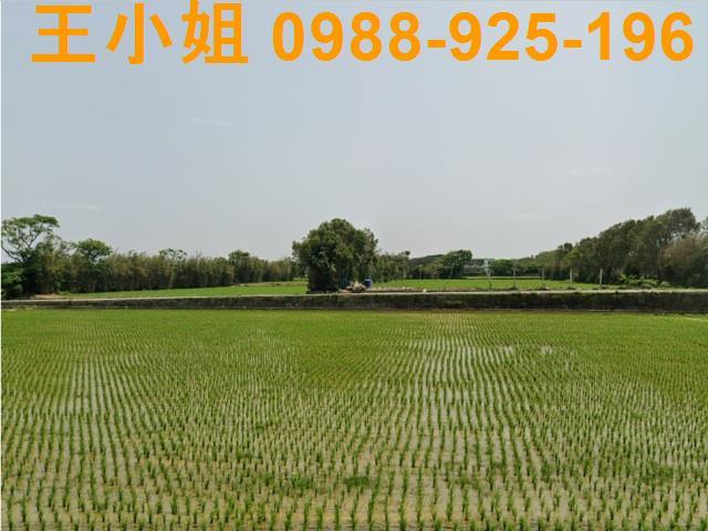 桃園新屋農地-3