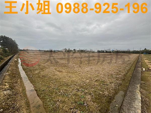 桃園新屋農地-2