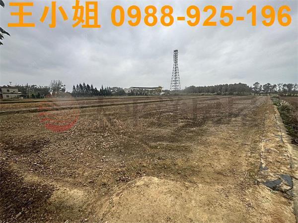 桃園新屋農地-3