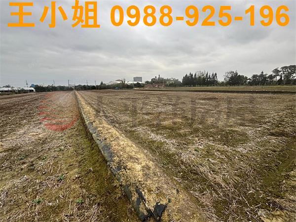 桃園新屋農地-4