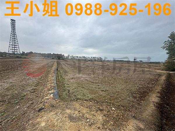 桃園新屋農地-5