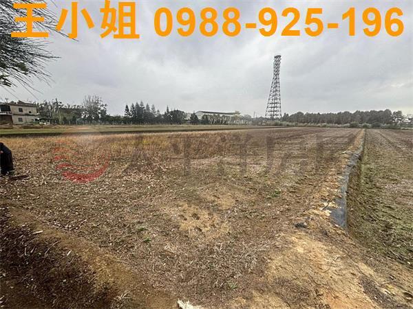 桃園新屋農地-6