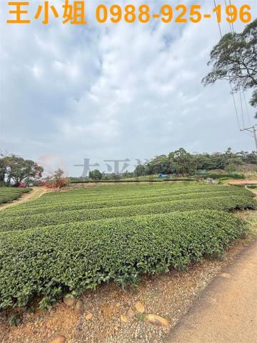 桃園龍潭農地-7