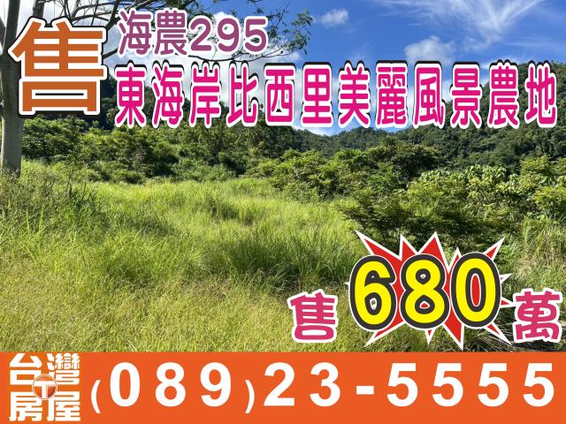 台東成功農地-0