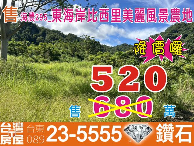 台東成功農地-0