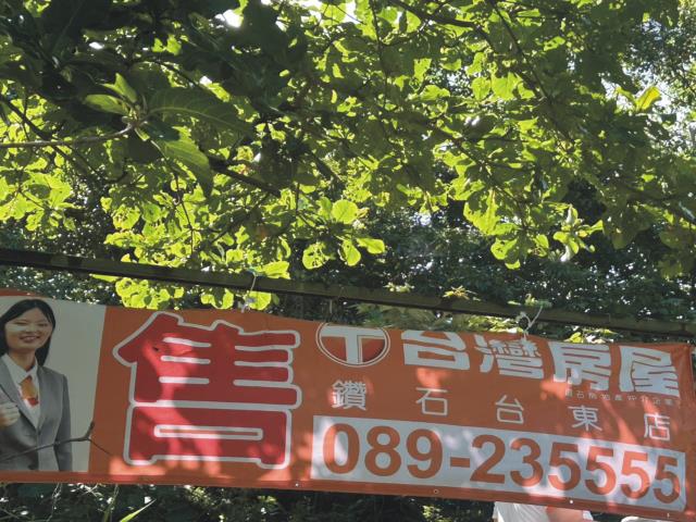 台東成功農地-1