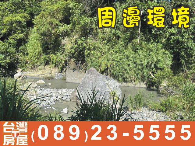 台東成功農地-2