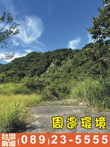 台東成功農地-3