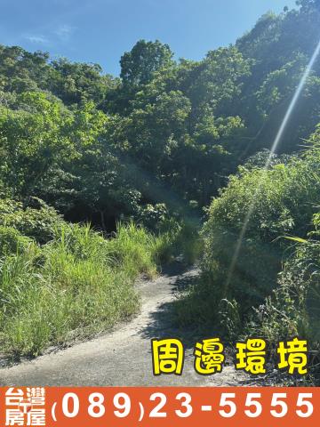 台東成功農地-5