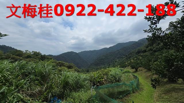 員山農地-10