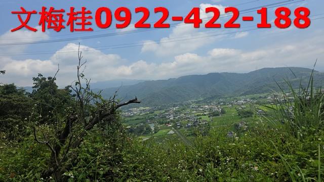 員山農地-12