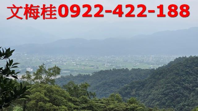員山農地-0