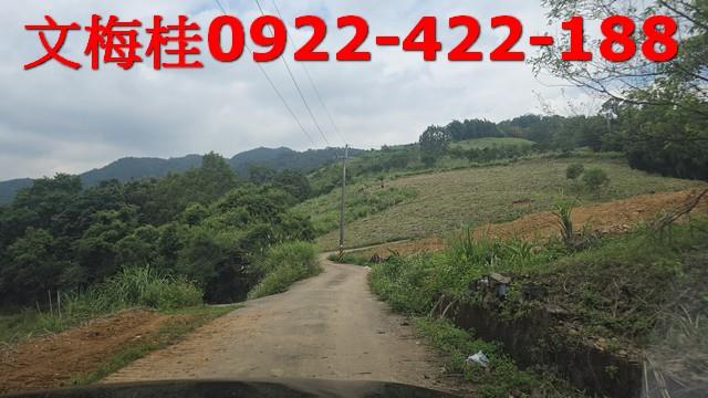 員山農地-1