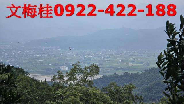 員山農地-2