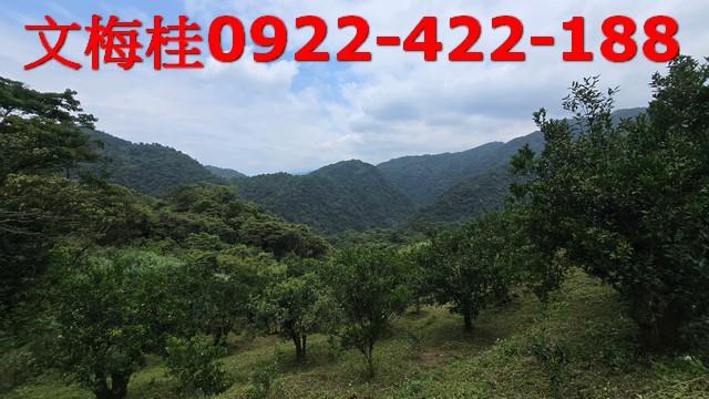 員山農地-3