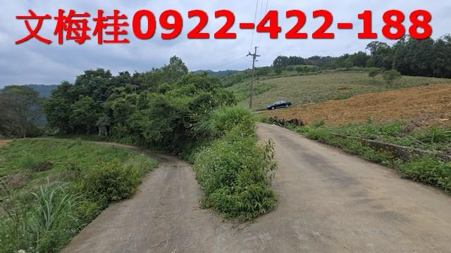 員山農地-4
