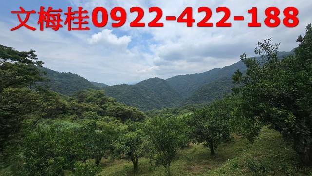 員山農地-5