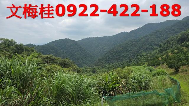 員山農地-6