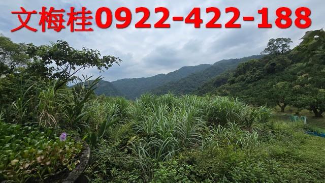 員山農地-8