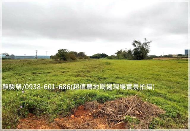 中壢月桃路投資農地