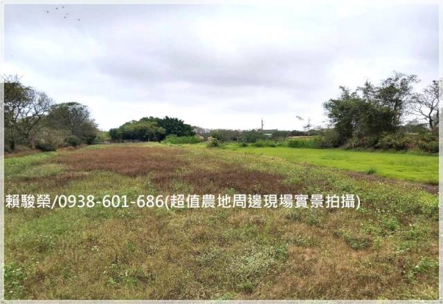 中壢月桃路投資農地