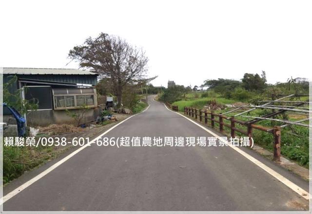 桃園中壢山東國小農地