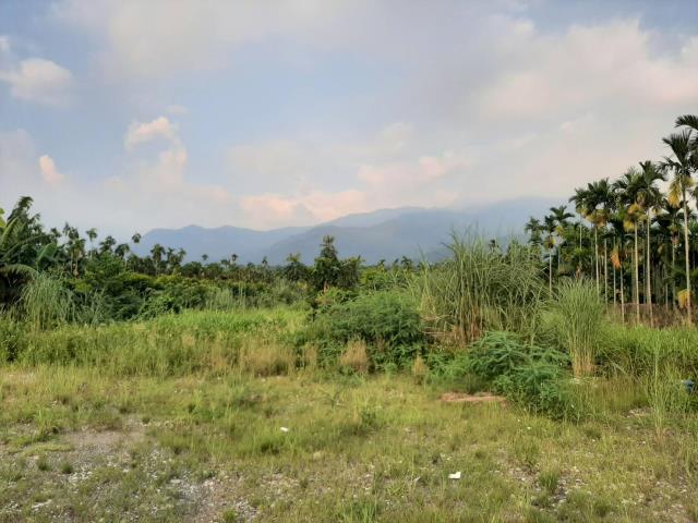 內埔農地-6