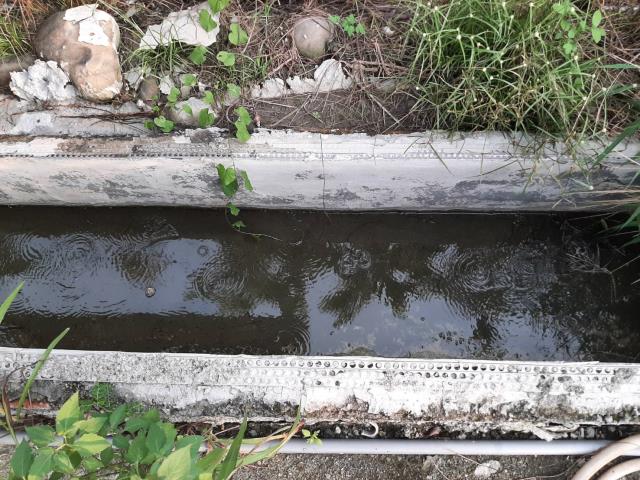 內埔農地-5
