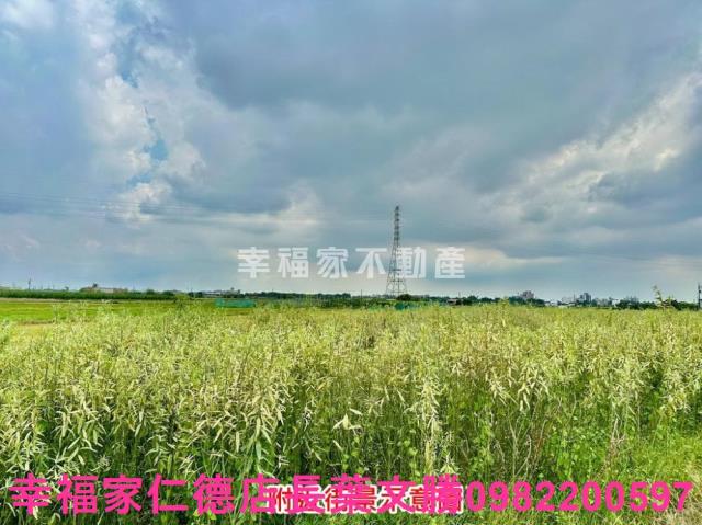 新化農地-11