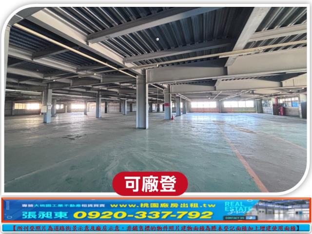 桃園大園工業地-1