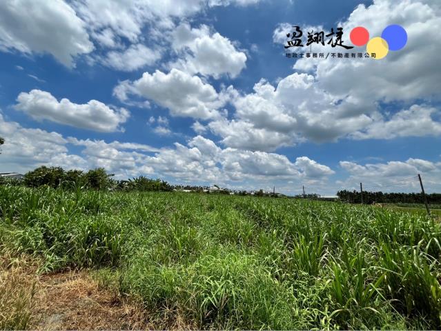 屏東屏東市農地-1
