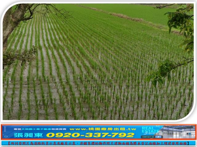桃園農地-0