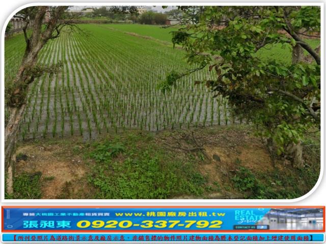桃園農地-1